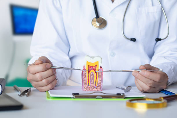 Best Dental Abscess Treatment in Manistee, MI